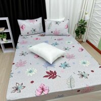 [ MẪU 1M6 X 2M] DRAP TRẢI GIƯỜNG THUN HÀN QUỐC 4 MÓN ( KHÔNG MỀN)