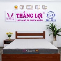 ( Màu ghi ) Nệm Điều Hòa Cao Cấp Thắng Lợi Thích Hợp Cho Gia Đình Không Sử Dụng Máy Lạnh (Điều Hòa)