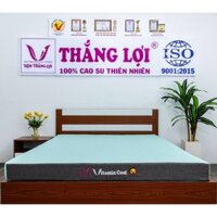 ( Màu Xanh )Nệm Điều Hòa Cao Cấp Thắng Lợi Thích Hợp Cho Gia Đình Không Sử Dụng Máy Lạnh (Điều Hòa)