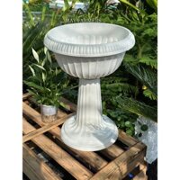 [ MAY ] Chậu Nhựa Ly Bông Có Đế Chân + Miệng Ly - Cắm Hoa , Trồng Sen Đá Size Lớn...