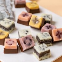 [ Mềm ngon ] Combo 1000g Kẹo Socola tươi Geliqi /Sandwich Sôcôla Sữa Fudge mix trái cây /Socola sữa mix vị ăn cực ngon