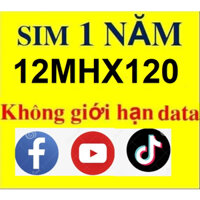 { MIỄN PHÍ 1 NĂM } SIM Viettel 4G 12MXH120 - 6MXH120 Không Giới Hạn  Truy Cập Tiktok, Youtube, Facebook, Messenger