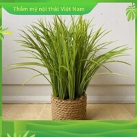 【 💕 Miễn phí vận chuyển khi có hàng 💕】 Trang trí nội thất 💕 Hạt giống lúa mì Twist Rope Chậu trang trí 💕 Phụ kiện phòng khách Homestay 💕 Ins Phong cách Văn phòng Minimalist Soft Furniture Bắc Âu 💕