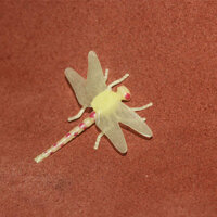 🔥 Mô phỏng các mô hình động vật nhỏ 🔥 Đồ chơi giáo dục Mẫu Côn Trùng Thật Nhựa đồ chơi động vật mới lạ Quà tặng trẻ em Giáo dục sớm cho trẻ em có hàng sẵn ❈American safari Mô phỏng chính hãng Mô hình côn trùng Giáo dục sớm Đồ chơi nhận thức Cảnh nhựa Đồ