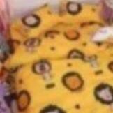 . mph vỏ chăn trơn poly