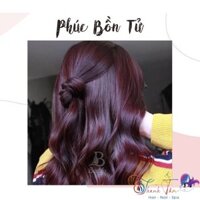 [ NA ] Màu nhuộm tím phúc bồn tử FANOLA Color Hair Cream 100ml