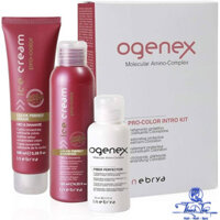 [ NK ] Bộ gội xả Ogenex Kit Inebrya khôi phục và bảo vệ tóc trong quá trình nhuộm màu