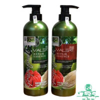 [ NL ] Cặp Dầu Gội xả Bưởi Cao Cấp GRAPEFRUIT VALER 850mlx2 ( New 2021 )