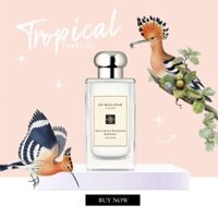 [𝕥𝕣𝕠𝕡𝕚𝕔𝕒𝕝] Nước hoa  Jo Malone Nectarine Blossom & Honey Test 5ml/10ml/20ml