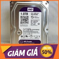 [💖] Ổ cứng chuyên dụng Camera 1TB WD PURPLE - Hàng chính hãng 100% - Bảo hành 36 tháng