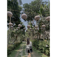 ( pass ) Quần Tafta