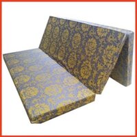 ( Phanngoclinh ) ( CC2016 )  Nệm bông ép 1m2 x2x 10cm(phân) Korea