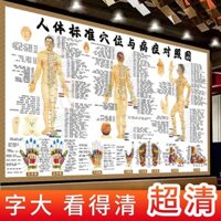 ❈ ❈ Poster của Con người Kinh tuyến Acupoints Biểu đồ tường của Bảo tàng Y học cổ truyền Trung Quốc Châm cứu Moxibustion Massage Acupoint Tranh bảo quản sức khỏe 250B303