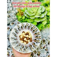 [ Quà ngon tặng trẻ ] Combo 1000g Kẹo socola gấu panda/ Socola gấu trúc giòn ngon siêu cute ăn ngon đã nghiền