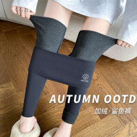 🔥 Quần legging eo cao chống lạnh 🔥 có hàng sẵn Quần Legging Nữ Giữ Ấm Quần legging giảm béo mùa thu đông 2025 Hàng sẵn có quần legging co giãn cho nữ Quần legging bó sát giữ nhiệt mùa đông ✬Quần Cá Mập Lông Cừu Nữ Mặc Ngoài 2024 Mới Cao Cấp Barbie Yoga