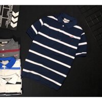 | Rẻ Đẹp Nhất | [XUẤT XỊN] Áo Thun Nam HoLi Cánh Chim Thêu Cực Đẹp