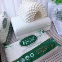 [ RẺ HUỶ DIỆT] GỐI CAO SU NON THÁI LAN CỦA HÃNG VENTRY