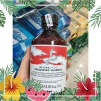 [ Rẻ nhất ]3139 [ Rẻ nhất ]1731 DẦU GỘI CHỐNG RỤNG TÓC DAVINES ENERGIZING 250ML vudinhchuong8935 caohoaivy7859