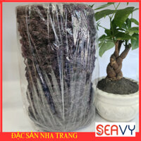 🌿 Rong Biển Khô Nha Trang, rong mứt nấu canh chế biến món ăn ngon hấp dẫn Gói 500g - Seavy 🌿