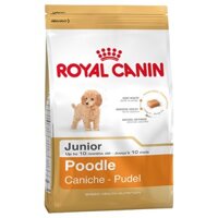 🐩 Royal Canin Poodle Junior 500g Thức ăn cho chó Poodle nhỏ - Cutepets