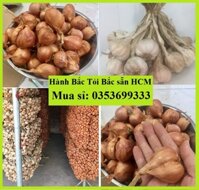 [ Sẵn HCM] Combo 1 KG Hành khô Tỏi khô thơm ngon loại 1 to mẩy để được cực lâu - mỗi loại 500g