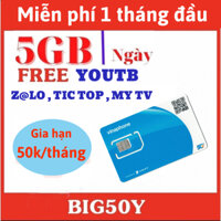[ SẴN THÁNG ĐẦU ] Sim 5G BIG50Y Vinaphone Đăng Ký Gói CHỉ 50K/Tháng Xem YT Không Giới Hạn