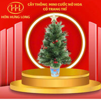 [ Ship hỏa tốc Hcm ] Cây thông Noel mini cao 60cm cước nở hoa có trang trí như hình
