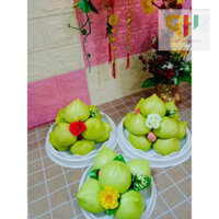 ( Sỉ 50c) Hộp tròn H47 Nắp Vòm - H47 Cao - H47 Thấp đựng bánh bônglan, bánh kem