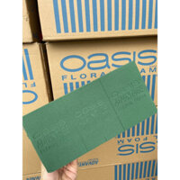 [ Sỉ thùng 20 viên ] Xốp xanh cắm hoa tươi, hoa sáp, mút xốp Oasis Advantage