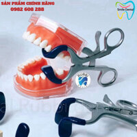 [ SIÊU RẺ ] Banh miệng bắt buộc-banh miệng nha khoa [ Smile Dental ]