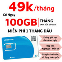 [ SIỂU RẺ ] CHỈ 49K/THÁNG - Sim 5G Vinaphone TD49 Tặng 1 Tháng FRee Vào Mạng Tẹt Ga 100GB/Tháng