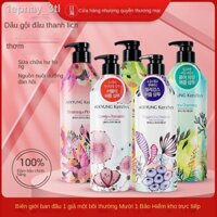 [ Siêu Tiết kiệm]❀№✳[Bộ làm sạch] Bộ dầu gội, xả Aekyung Hàn Quốc, kiểm soát dầu, giữ nếp mềm lâu và cải thiện tình trạn