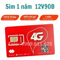 [ SIM 1 NĂM ] SIM VIETTEL 4G 12V90B TRỌN GÓI 1 NĂM SỬ DỤNG DATA, NGHE GỌI MIỄN PHÍ