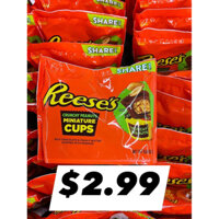 🍫🥜 SOCOLA SỮA NHÂN ĐẬU PHỘNG & HẠT ĐẬU PHỘNG GIÒN CỦA MỸ REESE’S CRUNCHY PEANUTS MINIATURE CUPS MILK CHOCOLATE GÓI 272G