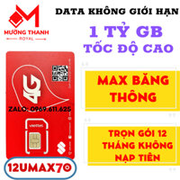 [ TẶNG 1 TỶ DATA INTERNET ] Sim 3G 4G Viettel Dùng Trọn Gói 1 Năm 1 TỶ GB/tháng 12UMAX70 12MXH100 12V90B 12V120N 12SD125