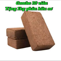 [ Tặng 1kg phân nén ] Combo 10 viên nén xơ dừa hữu cơ đã xử lý kỹ tặng 1kg phân nén trùn quế