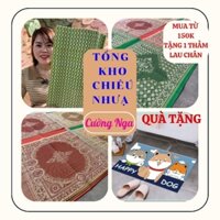 ( Tặng thảm) Chiếu nhựa gấp gọn khổ lớn dài 4m (ngồi 2 mâm)