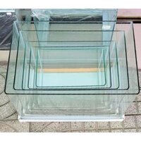 ( toàn quốc) bể cá mini Hồ Đúc Uốn Cong Cạnh- VUÔNG CẠNH - Kính Trong |Chơi Thuỷ Sinh Cá Cảnh, Nuôi Tép SIÊU ĐỆP