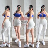 [ TomTiger - Short/ Leggings ] Quần đùi/ dài TomTiger V3 dệt kim, sẵn chun mông, logo dệt sẵn AOC SPORTWEAR