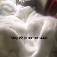 🍀 TRẮNG HỒ LY 🍀