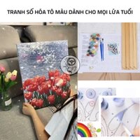[ Tranh Số Hóa Sẵn Khung, Cọ, Màu, Tranh] Tranh Tô Vườn Hoa Tulip Khung 40x50