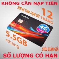 [ TRỌN GÓI 1 NĂM KHÔNG CẦN NẠP TIỀN ] Sim Vinaphone 4G Tốc Độ Cao Có 5GB /Tháng - Sim Data Giá Rẻ Vào mạng Siêu Tốc