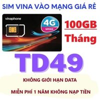 [ TRỌN GÓI 1 NĂM] SIM 4G VINAPHONE TD49 MIỄN PHÍ SỬ DỤNG DATA TỐC ĐỘ CAO 100GB/ THÁNG - SIM MAX DUNG LƯỢNG