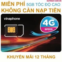 [ Trọn Gói 12 Tháng ] Sim Data 4G Vinaphone D500 Tặng 5GB/Tháng Không Giới Hạn Data Theo Ngày