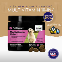 [ Viên Nhai mềm ] Vitamin Tổng Hợp Cho Chó Mèo Pet Honesty 10 for 1 Multivitamin Hổ Trợ Khớp - Tiêu Hóa - Da - Miễn Dịch