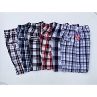 [ Xả HÀng ] Quần Short Nam Trung Tuổi, Quần Đùi Kẻ Nam Hàng Đẹp Chất Thô Mềm