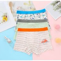 [ XẢ KHO ] - Bộ 3 quần đùi boxer Hàn Quốc mẫu 3 chiếc xe Tang - Meng siêu cute cho bé