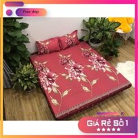 [ Xả Mùa Dịch ] Bộ Ga Gối 3 Món Cottong Poly - Cúc Mận Hàng Mới Về 2020