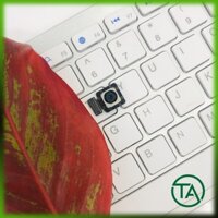 { Xem ảnh } Camera sau Samsung A720 / A7 (2017) , Cam sau Samsung A720 / A7 (2017) zin bóc máy , bảo hành đổi trả