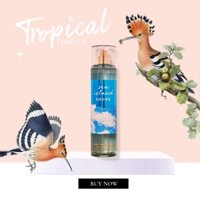 [𝕥𝕣𝕠𝕡𝕚𝕔𝕒𝕝] Xịt thơm toàn thân Bath&Body Works SEA ISLAND SHORE